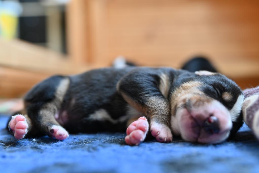 c8d63ce0-301a-4411-b305-b2e94e216376