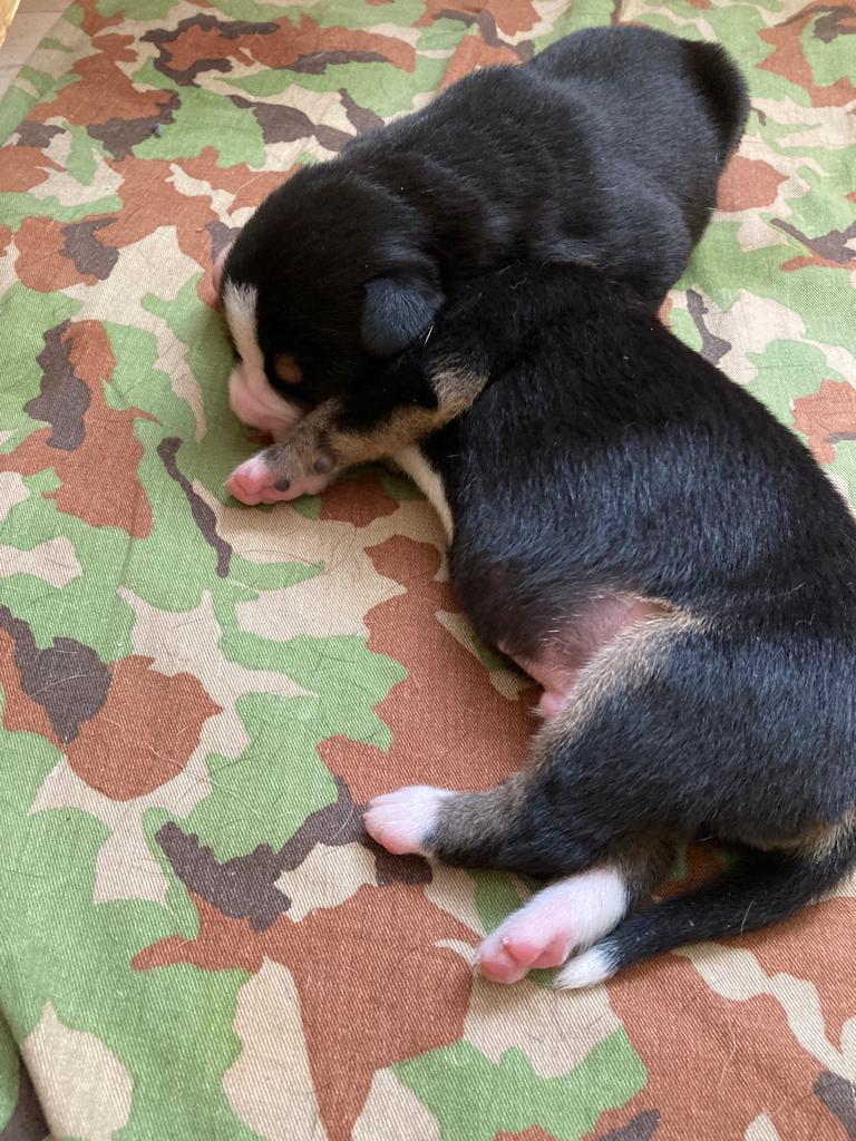 45d8079c-2fcb-445d-8091-42d73203dd5b