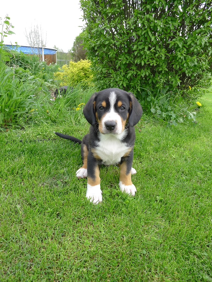 Eddie0805
